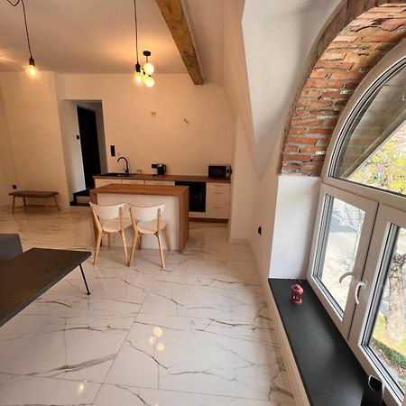 Dworskiego 74, Apartament 2 プシェムィシル エクステリア 写真