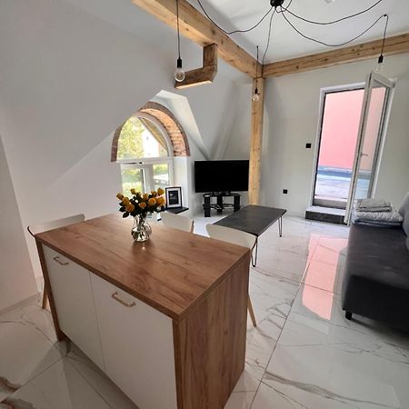 Dworskiego 74, Apartament 2 プシェムィシル エクステリア 写真