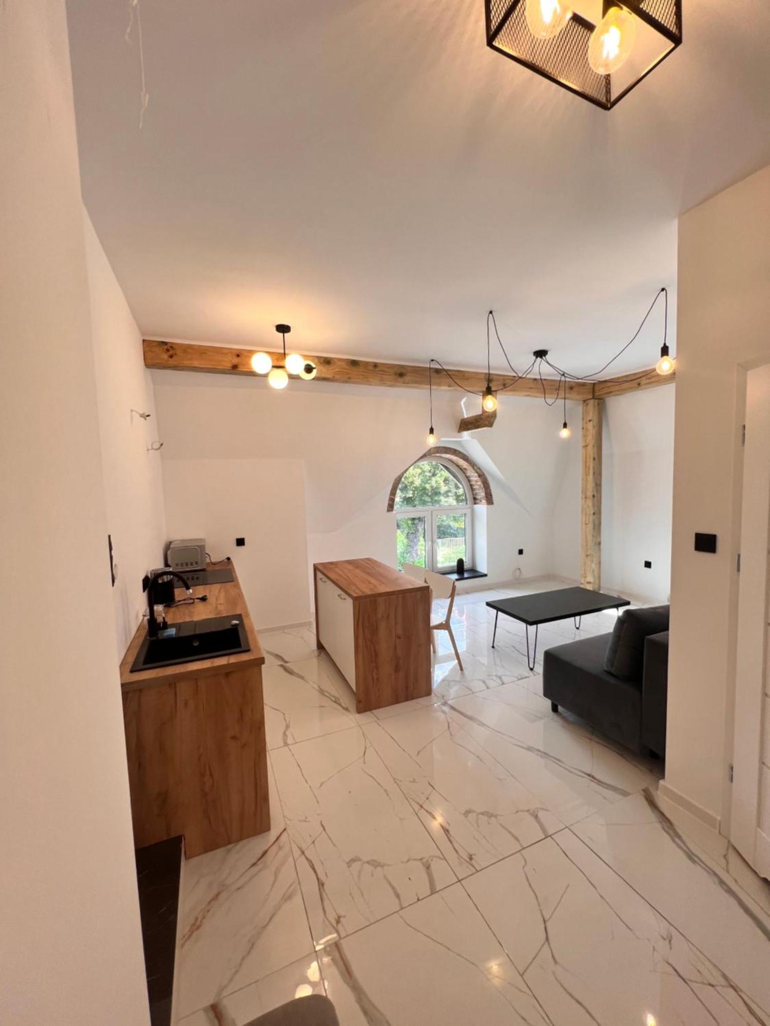 Dworskiego 74, Apartament 2 プシェムィシル エクステリア 写真